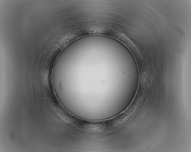 X0000113360209200909291037