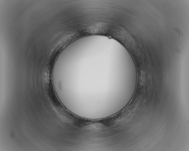 X0000113360210200909291037