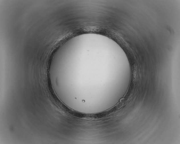 X0000113360211200909291037