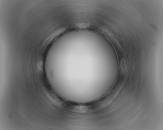 X0000113360212200909291037