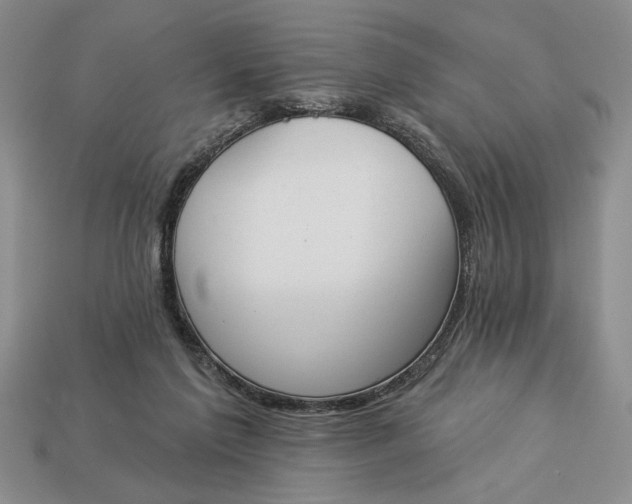 X0000113360213200909291037