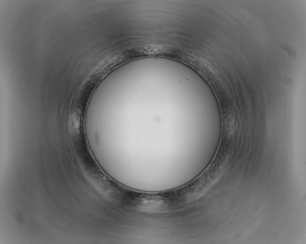 X0000113360214200909291037