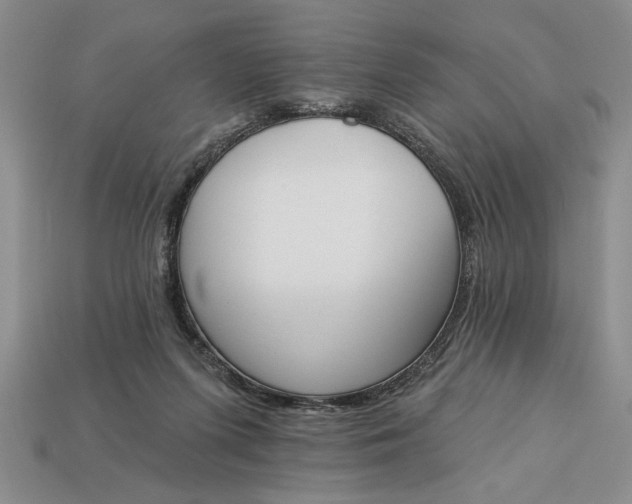 X0000113360215200909291037