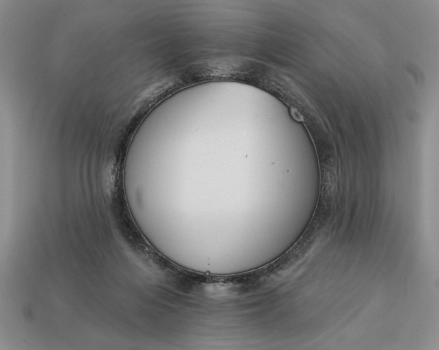 X0000113360216200909291037