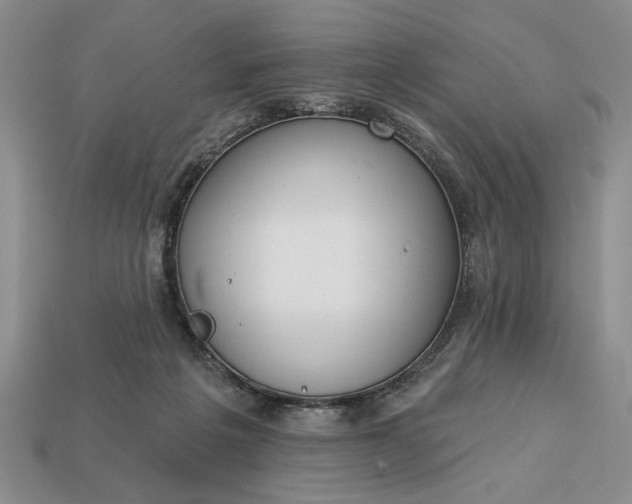 X0000113360217200909291037