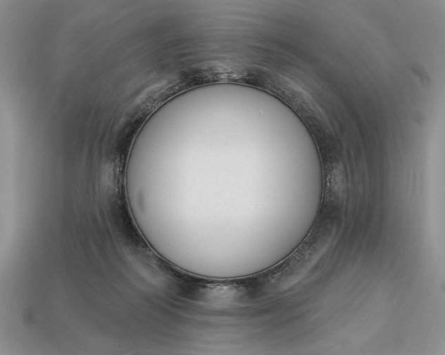 X0000113360218200909291037