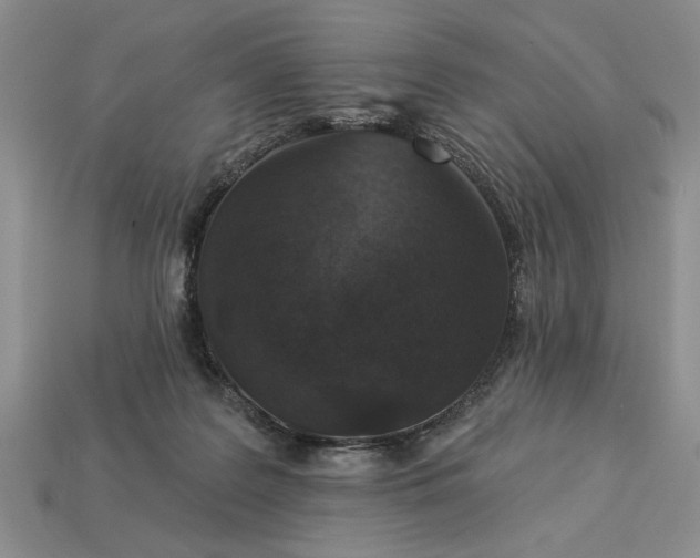 X0000113360219200909291037