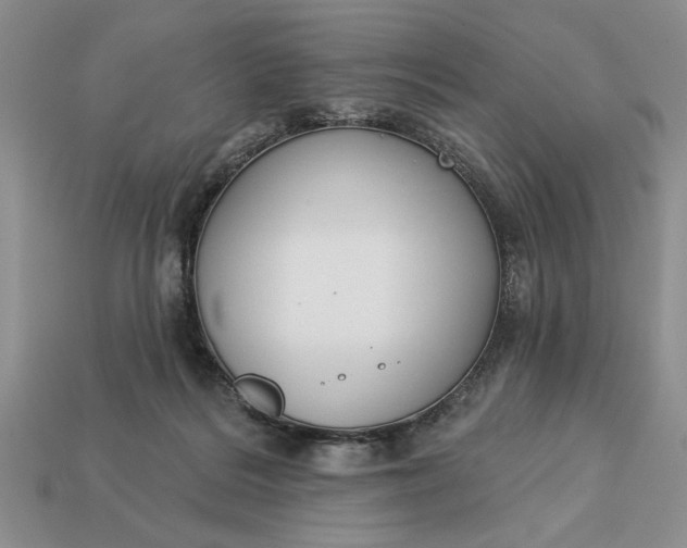 X0000113360220200909291037