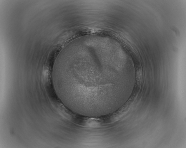 X0000113360222200909291037