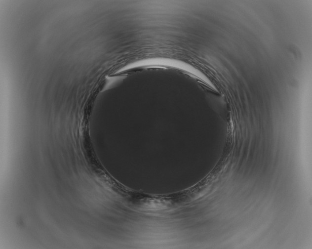 X0000113360223200909291037