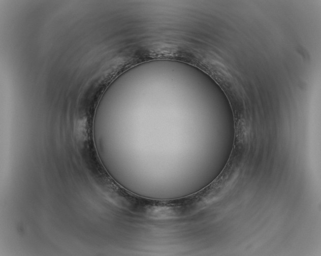 X0000113360224200909291037