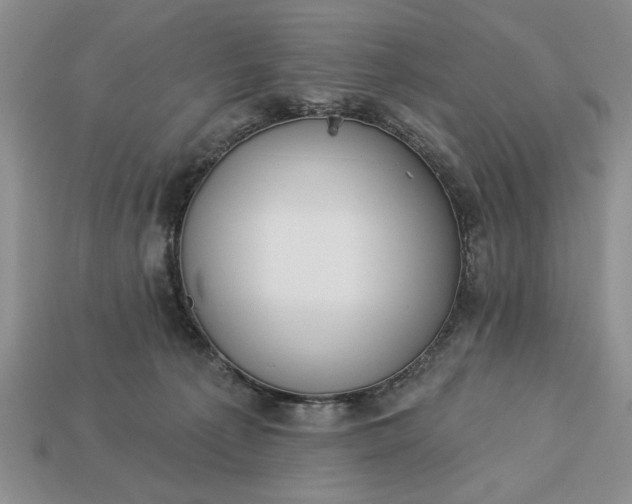 X0000113360225200909291037