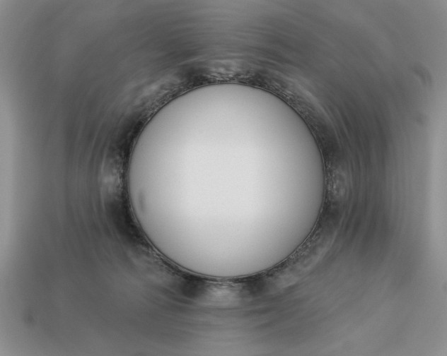 X0000113360226200909291037