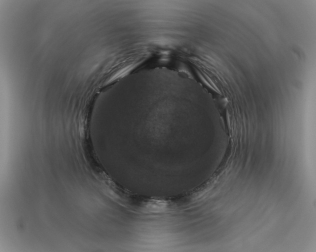 X0000113360227200909291037