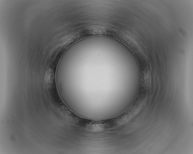 X0000113360228200909291037