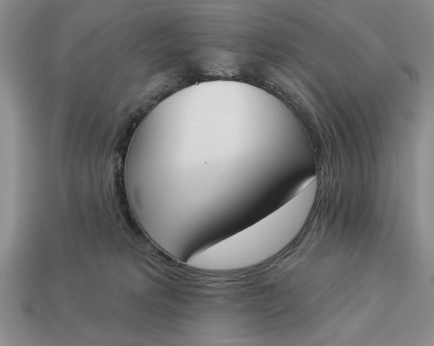 X0000113360229200909291037