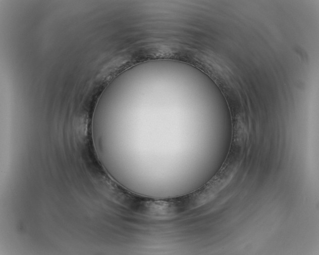 X0000113360230200909291036