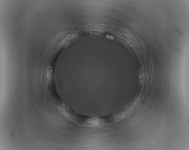 X0000113360231200909291036