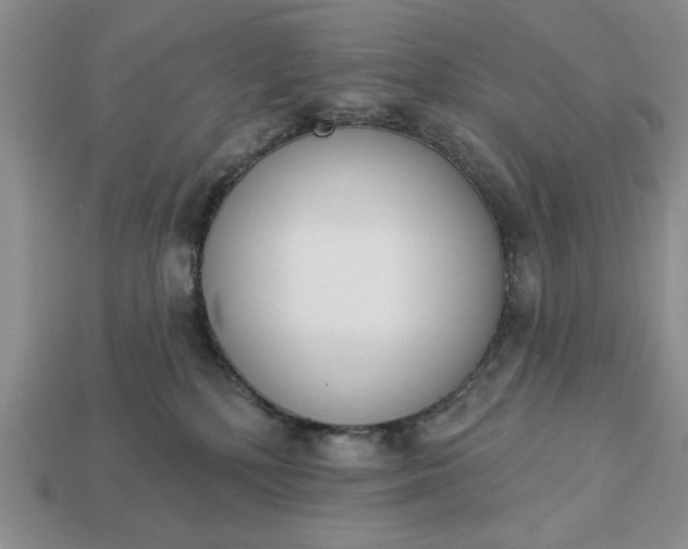 X0000113360232200909291036