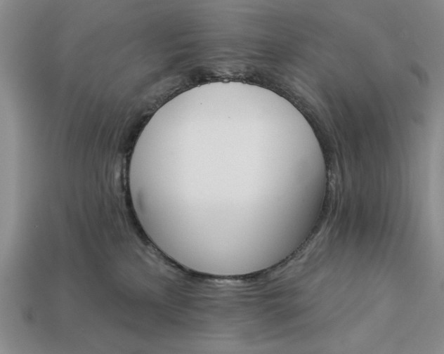 X0000113360233200909291036