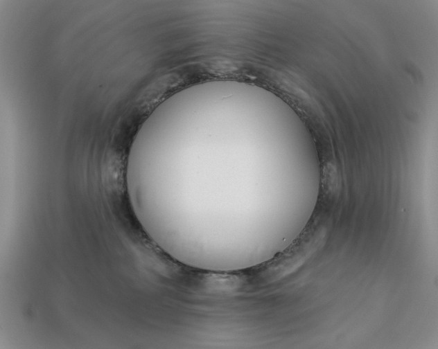 X0000113360234200909291036