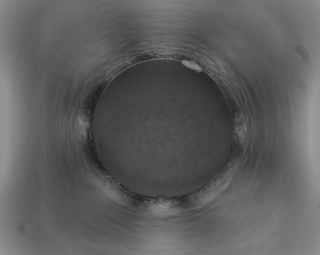 X0000113360235200909291036