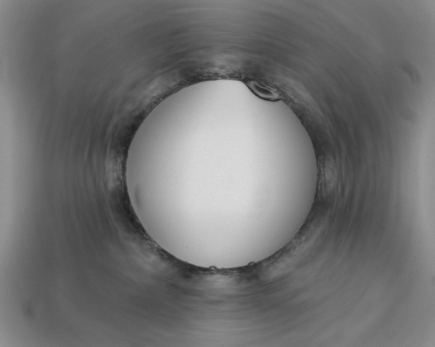 X0000113360236200909291036