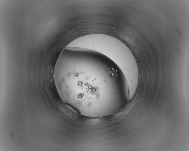 X0000113360237200909291036