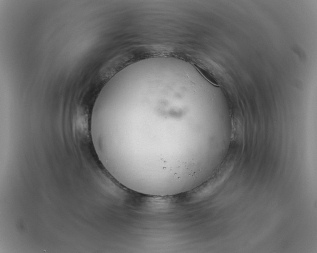 X0000113360238200909291036