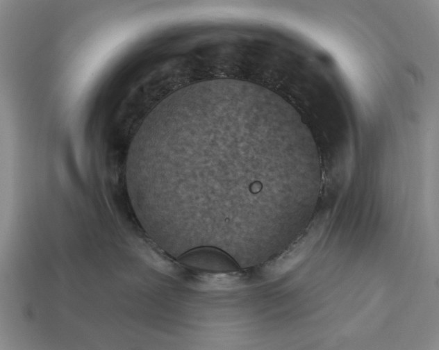 X0000113360239200909291036