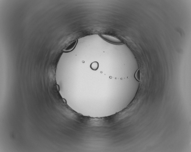 X0000113360240200909291036