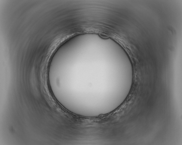 X0000113360241200909291036