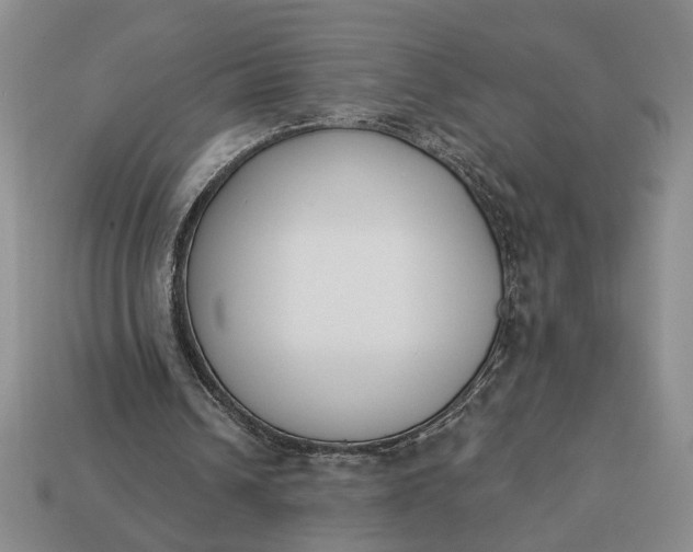 X0000113360242200909291036