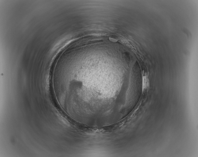 X0000113360243200909291036