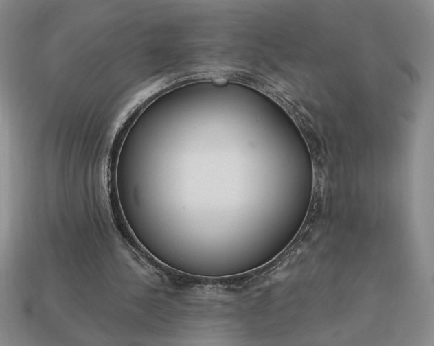 X0000113360244200909291036