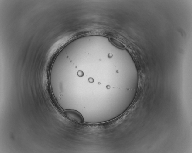 X0000113360245200909291036