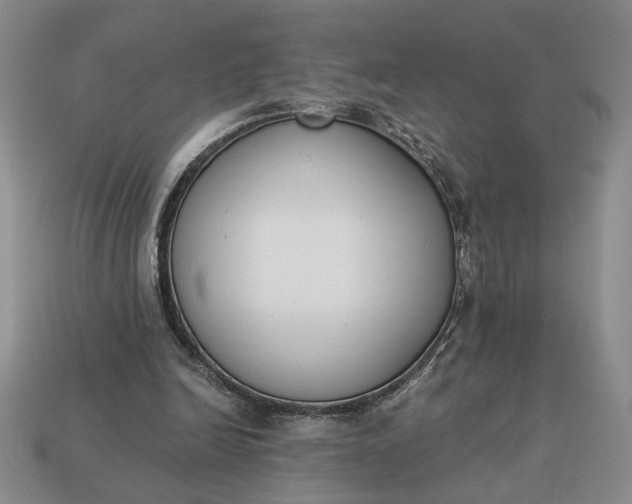 X0000113360246200909291036