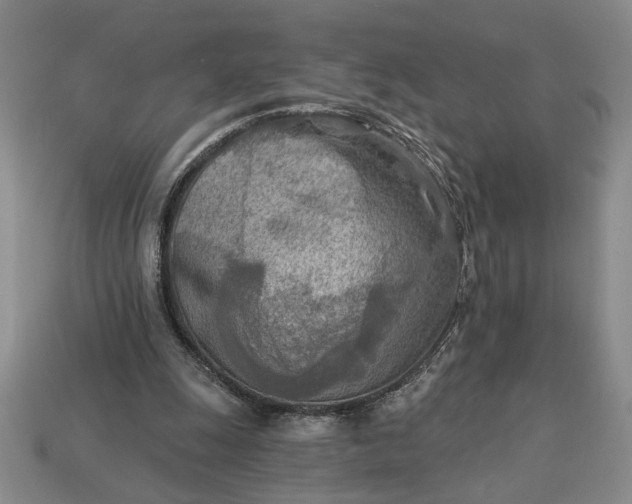 X0000113360247200909291036