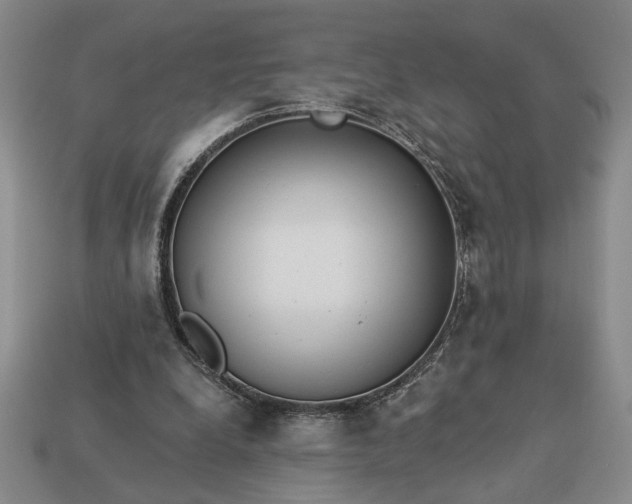 X0000113360248200909291036