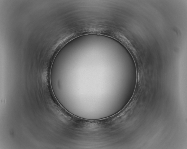 X0000113360249200909291036