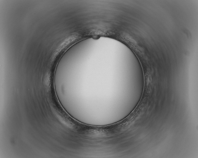 X0000113360250200909291036