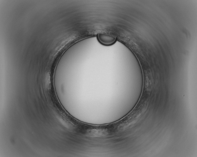 X0000113360251200909291036