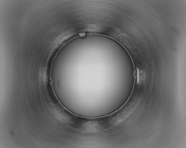 X0000113360252200909291036