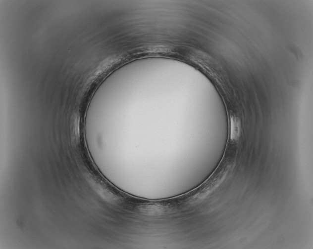 X0000113360253200909291036