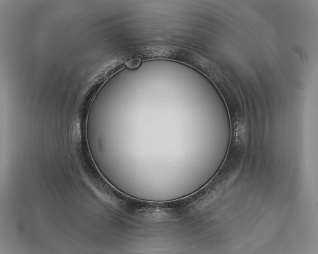 X0000113360254200909291036