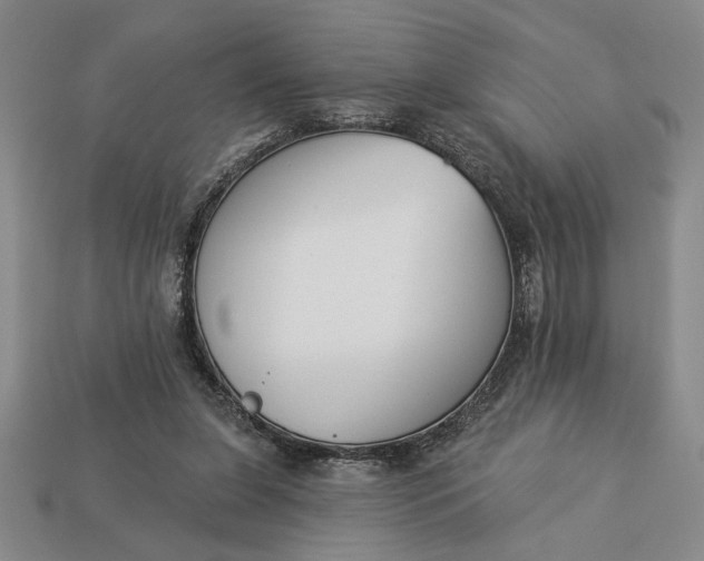 X0000113360255200909291036