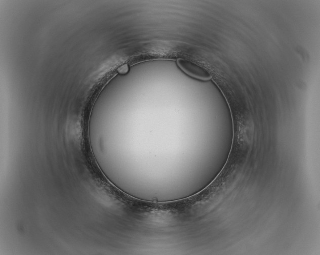 X0000113360256200909291036