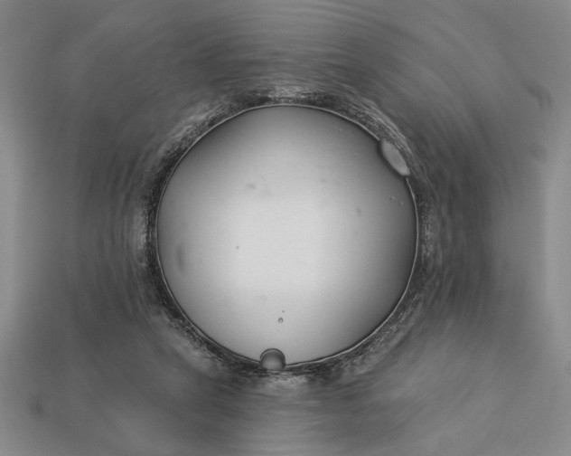 X0000113360257200909291036