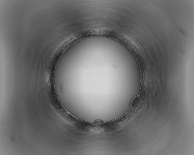 X0000113360258200909291036