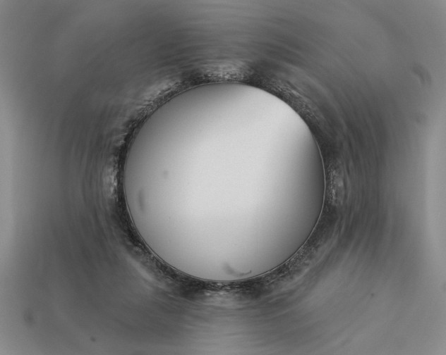 X0000113360259200909291036